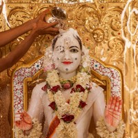 Daily Darshan